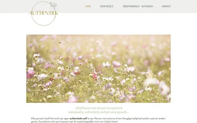 aut-hentiek.be snapshot