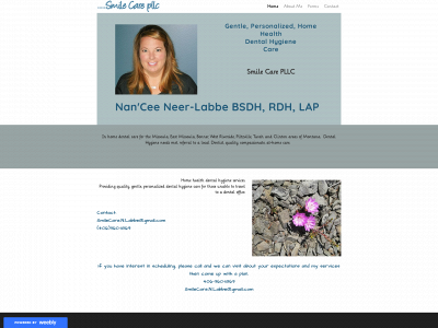 www.smilecarepllc.com snapshot