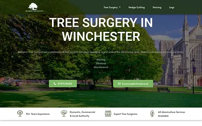mulberrytreeservices.co.uk snapshot