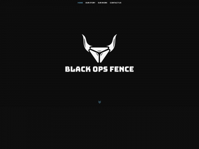blackopsfencing.com snapshot