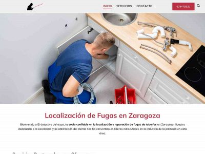 www.localizaciondefugas.es snapshot