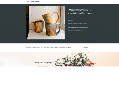 www.lisayorkarts.com snapshot