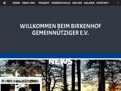 birkenhofev.com snapshot