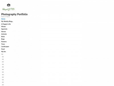 hazeljtd.com snapshot