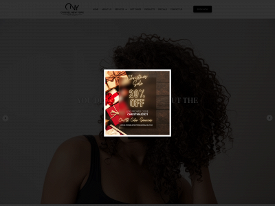 www.crisselnewyorkhairsalon.com snapshot