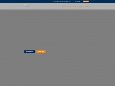 suryasys.com snapshot