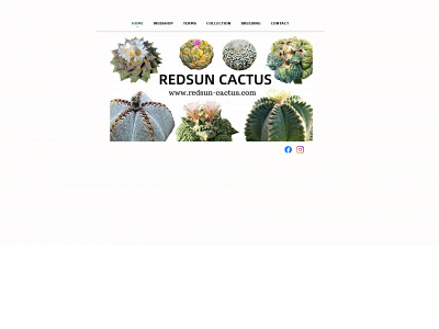 redsun-cactus.com snapshot