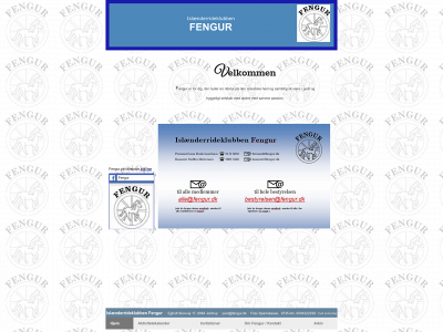 fengur.dk snapshot