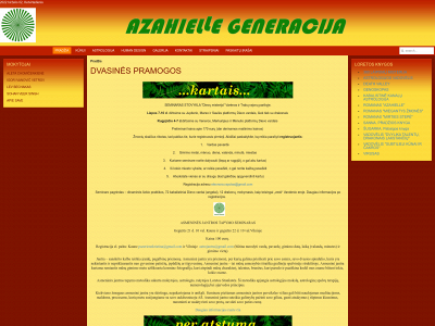 azahielle.lt snapshot
