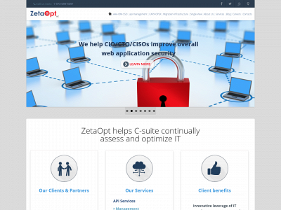 zetaoptwebsite.com snapshot