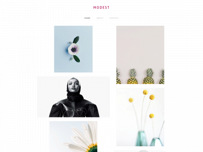 modest-devil.weebly.com snapshot