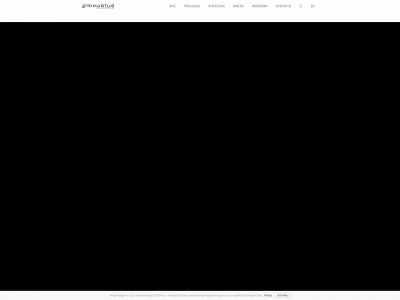 rimartus.lt snapshot