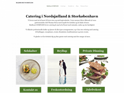 www.madhusetsubstans.dk snapshot