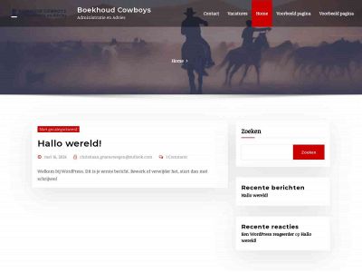 boekhoudcowboys.com snapshot