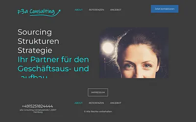 p3a-consulting.com snapshot