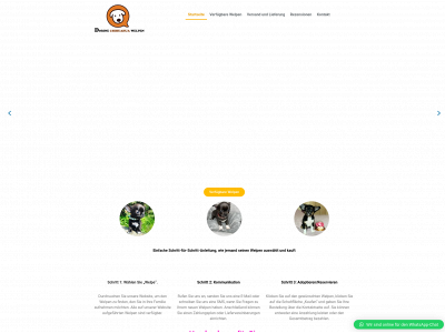 dorinechihuahuawelpen.de snapshot