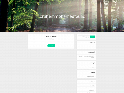 ibrahemmohamedfouad.com snapshot