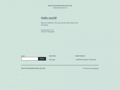 nextlevelmarketingclub.com snapshot