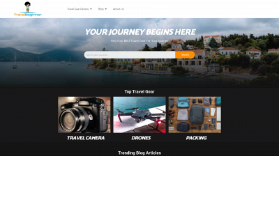travelbeginner.com snapshot