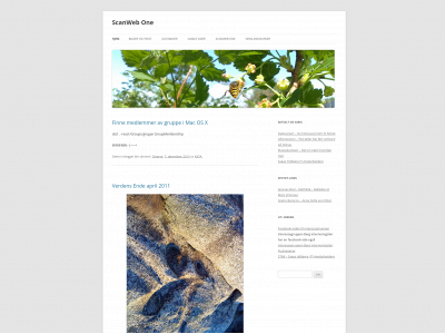 scanweb.one snapshot