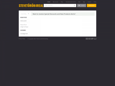 stevetorok4real.store snapshot