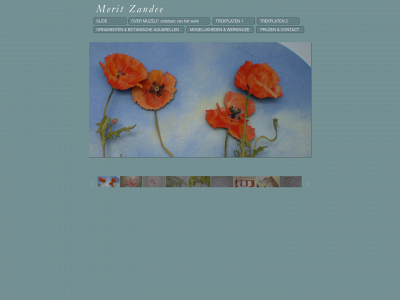 meritzandee.nl snapshot