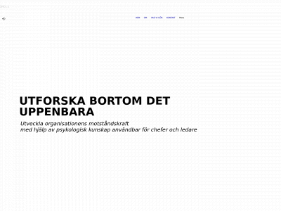 viisasconsultinggroup.se snapshot