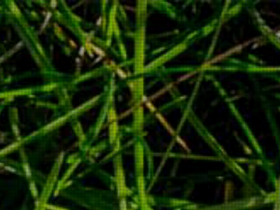 per-form.be snapshot