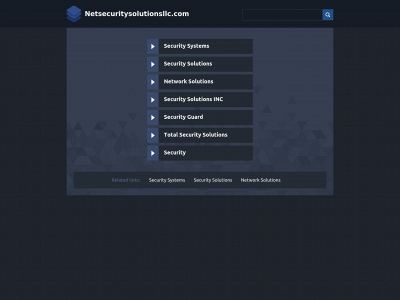 netsecuritysolutionsllc.com snapshot