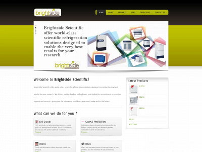 brightsidescientific.com.au snapshot