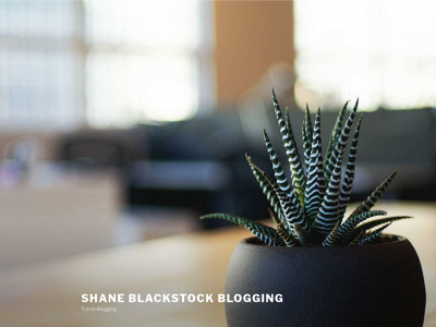 shaneblackstockblog.com snapshot