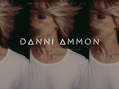 danniammon.com snapshot