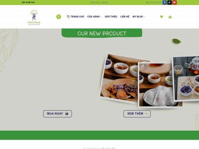 holihea.com snapshot