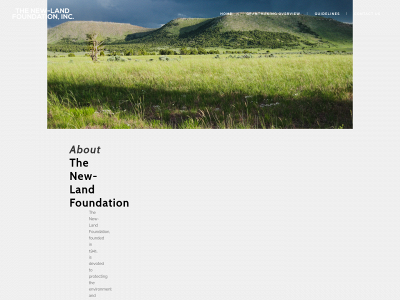 newlandfoundation.org snapshot