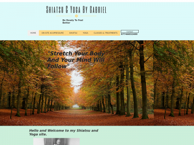 gabsshiatsu.co.uk snapshot