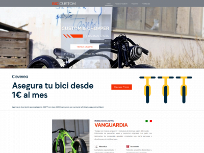 bicicustom.es snapshot