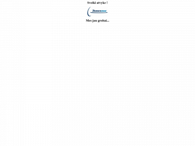 transone.lt snapshot