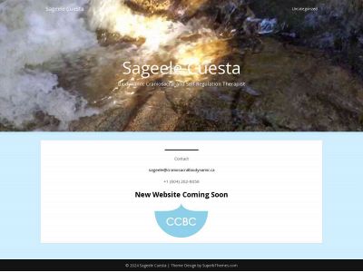 sageelecuesta.com snapshot