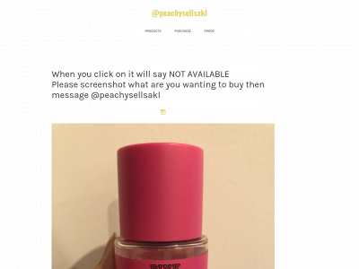 peachysellsakl.weebly.com snapshot