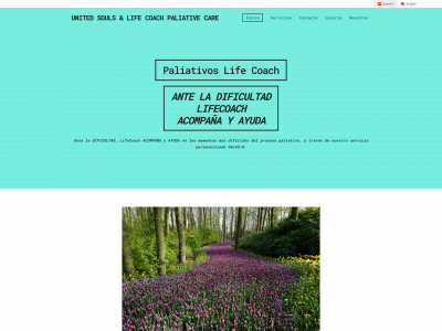 paliativoslifecoach.es snapshot
