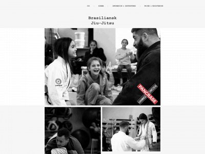 pancrasehaninge.com snapshot