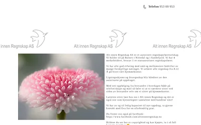 altinnenregnskap.no snapshot