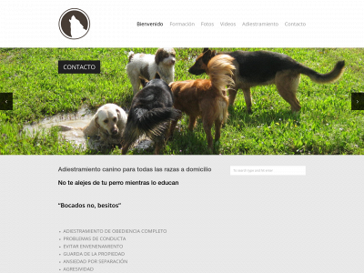 adiestradorsevilla.com snapshot