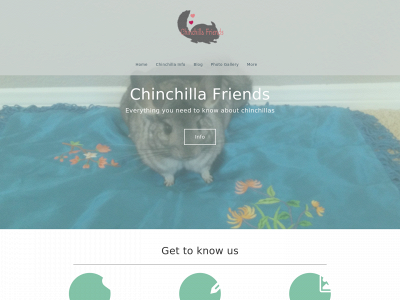 chinchillafriends.com snapshot