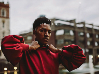 coco-nut.co snapshot
