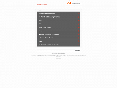 blindfireusa.com snapshot