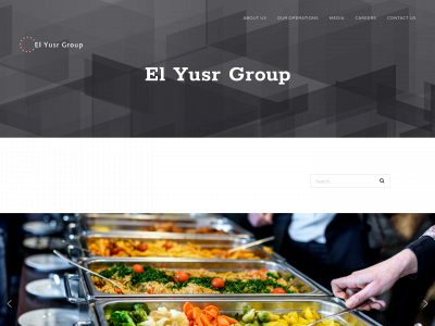 elyusrgroup.com snapshot
