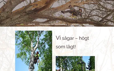 saws.se snapshot