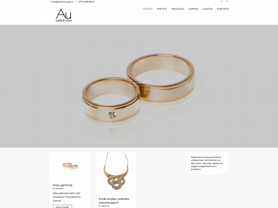 auksineuoga.lt snapshot