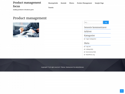 productmanagementfocus.com snapshot